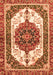 Machine Washable Persian Orange Traditional Area Rugs, wshabs3252org