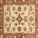 Square Oriental Brown Traditional Rug, abs3256brn