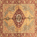 Square Machine Washable Persian Brown Traditional Rug, wshabs3257brn