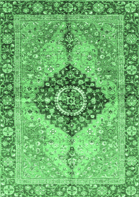 Persian Emerald Green Traditional Rug, abs3257emgrn