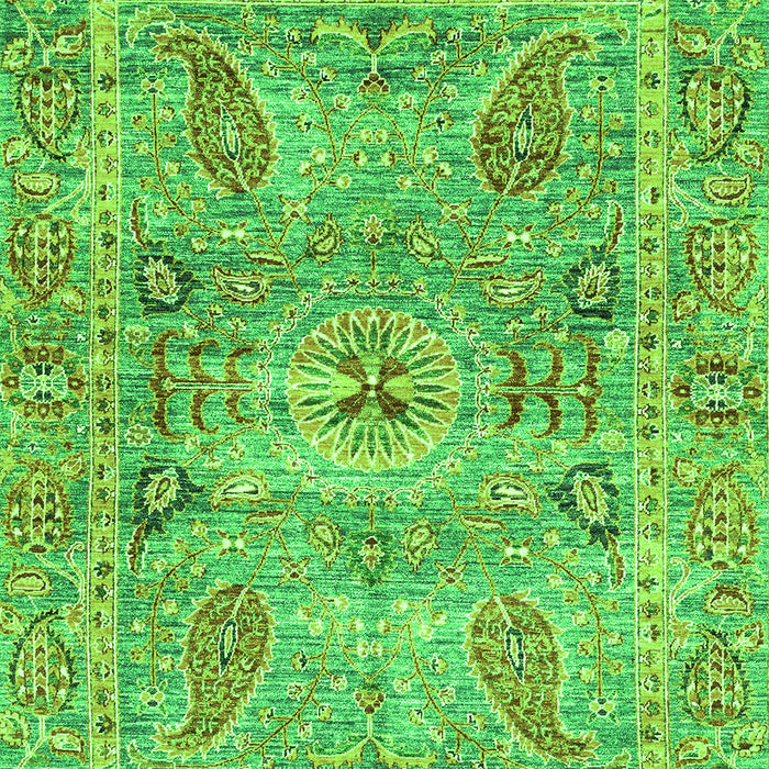 Oriental Green Traditional Rug, abs3262grn