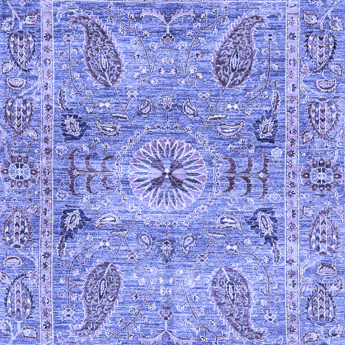 Oriental Blue Traditional Rug, abs3262blu