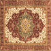 Square Machine Washable Persian Brown Traditional Rug, wshabs3265brn