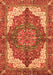 Machine Washable Persian Orange Traditional Area Rugs, wshabs3270org