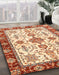Machine Washable Abstract Brown Gold Rug in a Family Room, wshabs3275