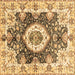 Square Abstract Brown Modern Rug, abs3293brn