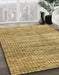 Machine Washable Abstract Chrome Gold Yellow Rug in a Family Room, wshabs3312