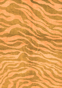 Animal Orange Modern Rug, abs3333org