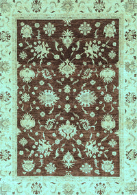 Oriental Light Blue Traditional Rug, abs3344lblu