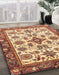 Machine Washable Abstract Fire Brick Red Rug in a Family Room, wshabs3352