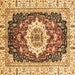 Square Machine Washable Abstract Brown Modern Rug, wshabs3356brn