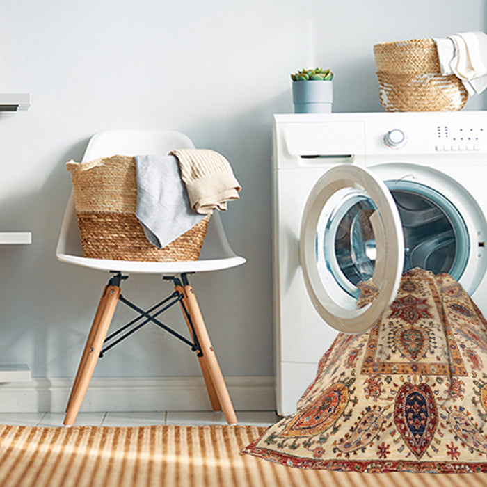 Machine Washable Abstract Chestnut Red Rug in a Washing Machine, wshabs3380