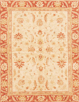 Abstract Brown Gold Oriental Rug, abs3387