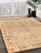 Machine Washable Abstract Orange Rug in a Family Room, wshabs3389