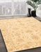 Machine Washable Abstract Brown Gold Rug in a Family Room, wshabs3394