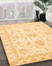 Abstract Orange Oriental Rug in Family Room, abs3396