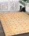 Abstract Orange Oriental Rug in Family Room, abs33