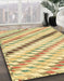 Machine Washable Abstract Cinnamon Brown Rug in a Family Room, wshabs3419