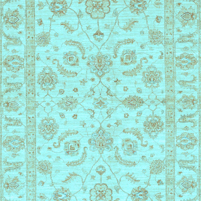 Oriental Light Blue Traditional Rug, abs3429lblu