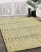 Machine Washable Abstract Sun Yellow Rug in a Family Room, wshabs342