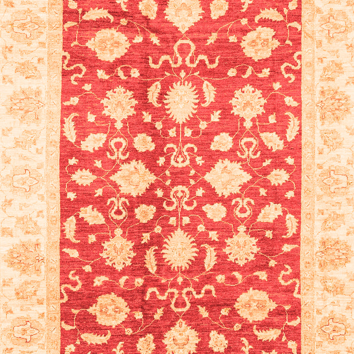 Oriental Orange Traditional Rug, abs3432org