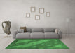 Machine Washable Animal Emerald Green Modern Area Rugs in a Living Room,, wshabs3443emgrn