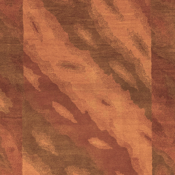 Machine Washable Animal Brown Modern Rug, wshabs3443brn