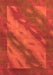 Machine Washable Animal Orange Modern Area Rugs, wshabs3443org