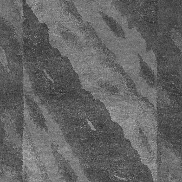 Machine Washable Animal Gray Modern Rug, wshabs3446gry