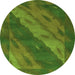 Round Animal Green Modern Rug, abs3446grn