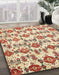 Machine Washable Abstract Khaki Gold Rug in a Family Room, wshabs344