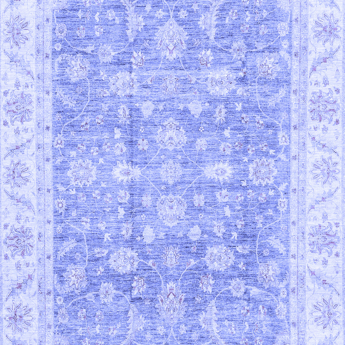 Oriental Blue Traditional Rug, abs3460blu
