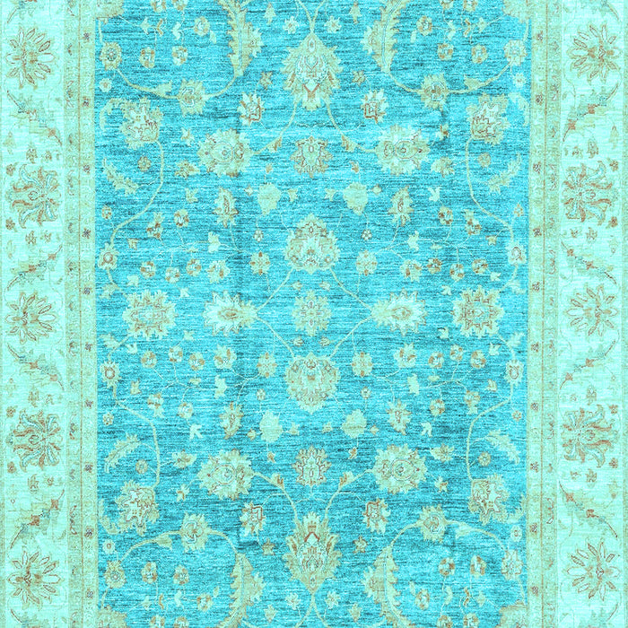 Oriental Light Blue Traditional Rug, abs3460lblu