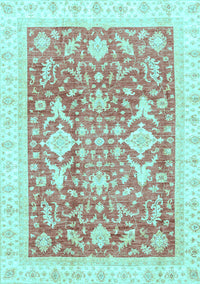 Oriental Light Blue Traditional Rug, abs3462lblu