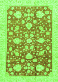 Oriental Green Traditional Rug, abs3463grn