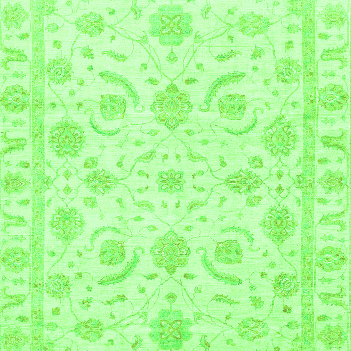 Oriental Green Traditional Rug, abs3465grn