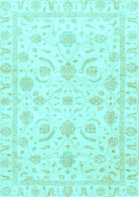 Oriental Light Blue Traditional Rug, abs3465lblu