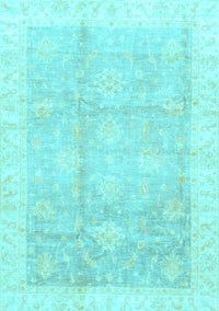 Oriental Light Blue Traditional Rug, abs3467lblu