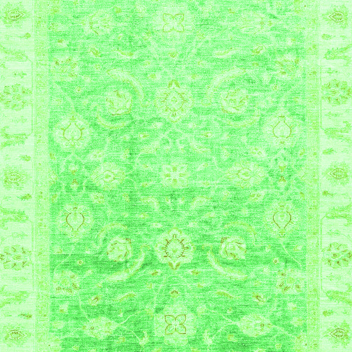 Oriental Green Traditional Rug, abs3472grn