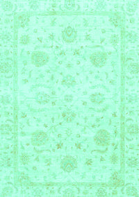 Oriental Turquoise Traditional Rug, abs3480turq