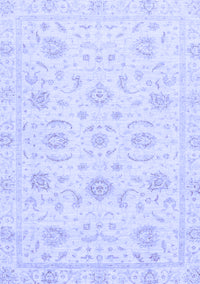 Oriental Blue Traditional Rug, abs3481blu