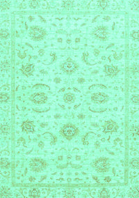 Oriental Turquoise Traditional Rug, abs3481turq