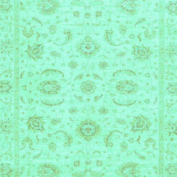 Oriental Turquoise Traditional Rug, abs3481turq