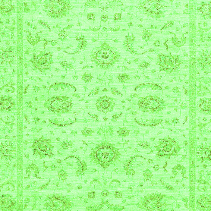 Oriental Green Traditional Rug, abs3481grn
