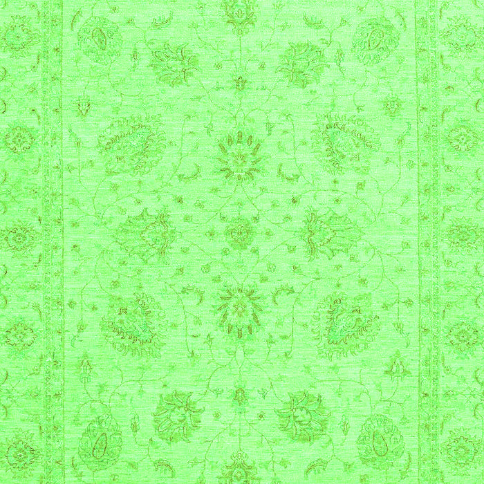Oriental Green Traditional Rug, abs3485grn