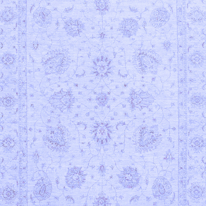 Oriental Blue Traditional Rug, abs3485blu