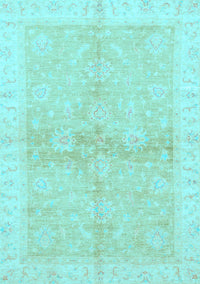 Oriental Light Blue Traditional Rug, abs3496lblu