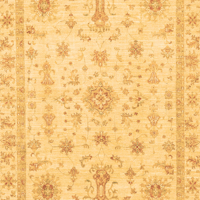 Oriental Brown Traditional Rug, abs3501brn