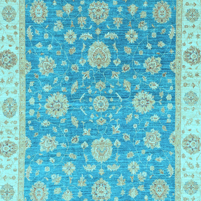 Oriental Light Blue Traditional Rug, abs3516lblu