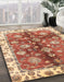 Machine Washable Abstract Red Rug in a Family Room, wshabs3524